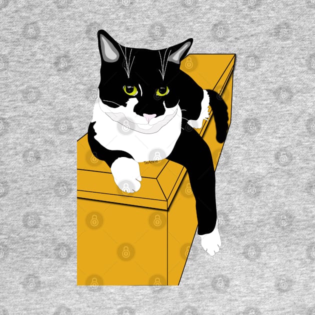 Cute Tuxedo On a Box Copyright TeAnne by TeAnne